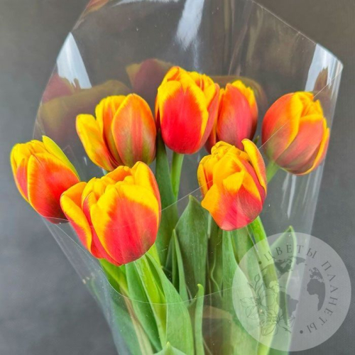 7 красно-желтых пионовидных тюльпанов в магазине Цветы Планеты