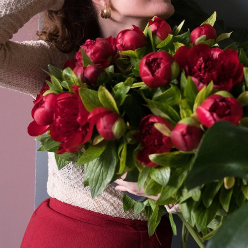 13 пионов бордовых в магазине Цветы Планеты