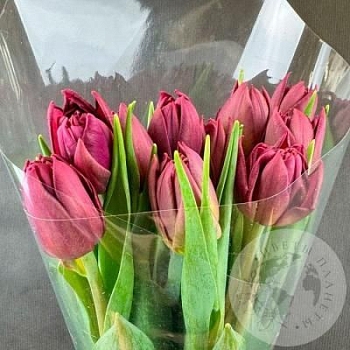 11 бордовых пионовидных тюльпанов