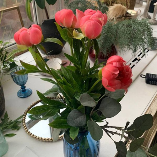 5 пионов коралловых в магазине Цветы Планеты