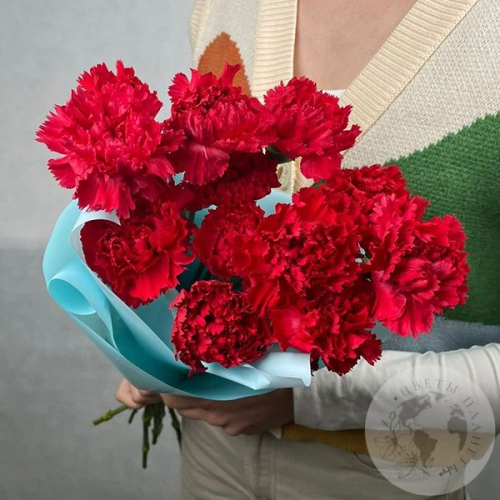 9 гвоздик красных 