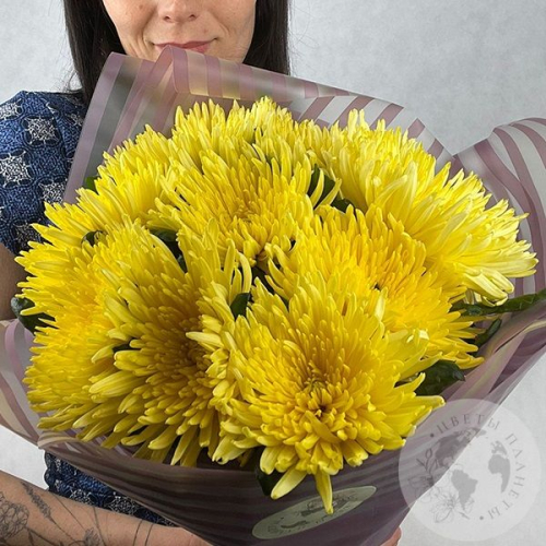 9 хризантем желтых в магазине Цветы Планеты
