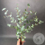 Эвкалипт (пучок) Эвкалипт (пучок) в магазине Цветы Планеты