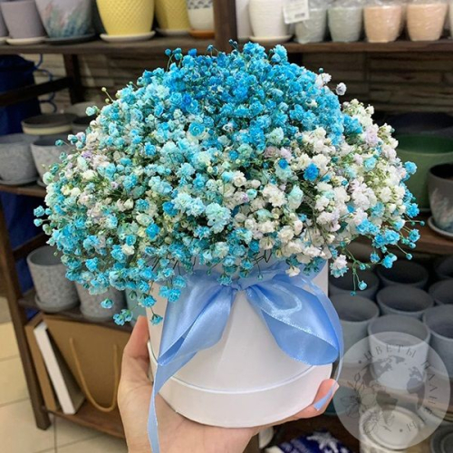 Букет гипсофил в коробке "Светлое чувство"