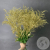 Солидаго Золото 9 шт. в магазине Цветы Планеты