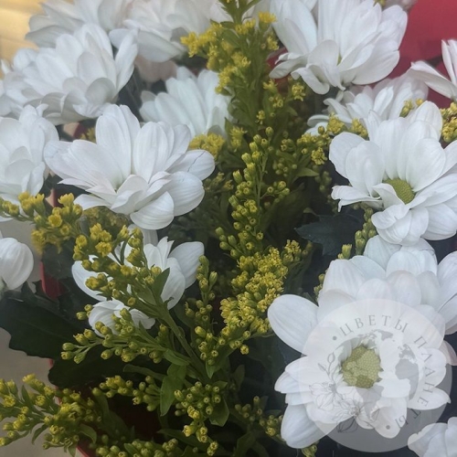 Букет из кустовых хризантем и солидаго в магазине Цветы Планеты