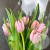 7 розовых пионовидных тюльпанов в магазине Цветы Планеты