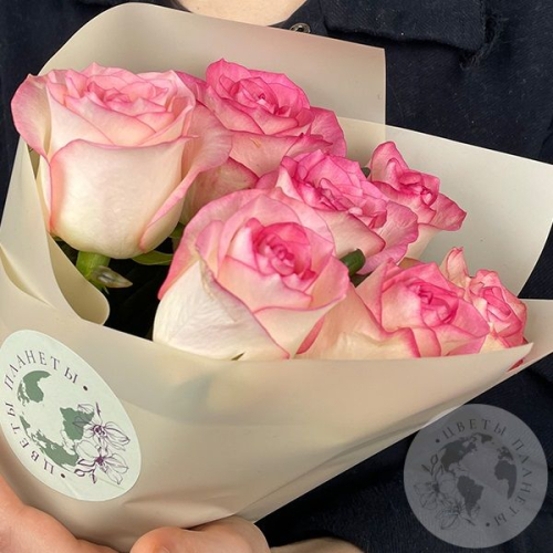 7 роз бело-розовых 70 см. в магазине Цветы Планеты