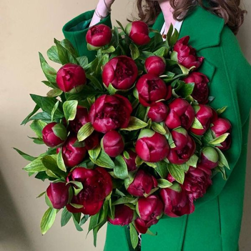 29 пионов бордовых в магазине Цветы Планеты