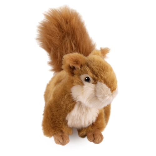 Мягкая игрушка Белочка, 20 см в магазине Цветы Планеты