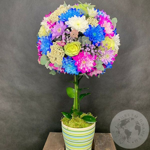 Букет из хризантем и роз в кашпо "Прекрасное дерево" в магазине Цветы Планеты