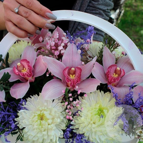 Композиция их орхидей и хризантем в ящике в магазине Цветы Планеты