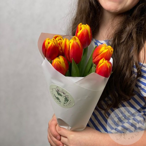 7 тюльпанов красно-желтых в магазине Цветы Планеты