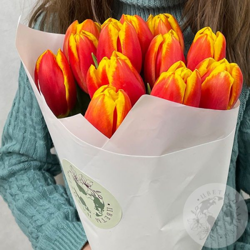 15 тюльпанов красно-желтых в магазине Цветы Планеты