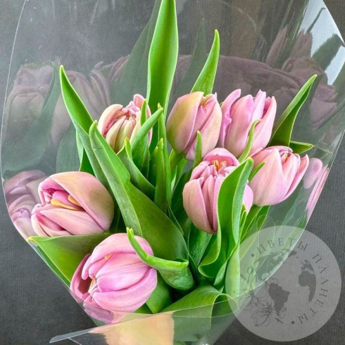 7 розовых пионовидных тюльпанов в магазине Цветы Планеты