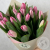 25 тюльпанов розовых в магазине Цветы Планеты