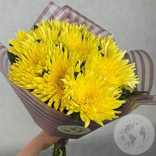 9 хризантем желтых в магазине Цветы Планеты