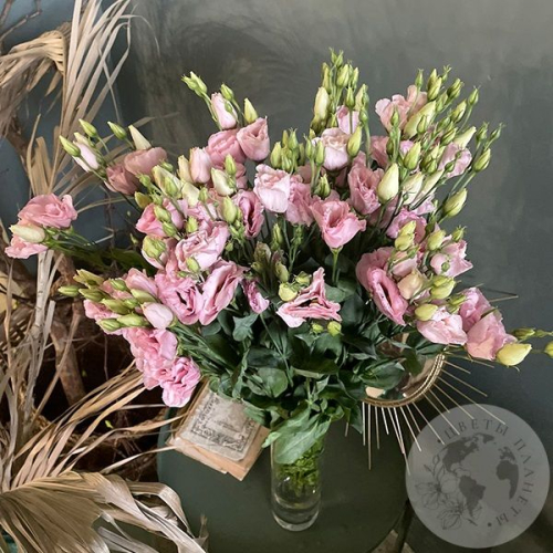 Эустома розовая 9 шт.