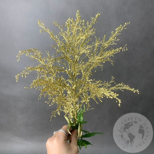 Солидаго Золото в магазине Цветы Планеты