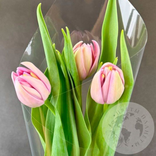 3 розовых пионовидных тюльпана в магазине Цветы Планеты