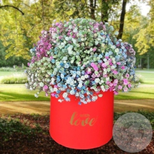 Композиция из гипсофил в коробке в магазине Цветы Планеты