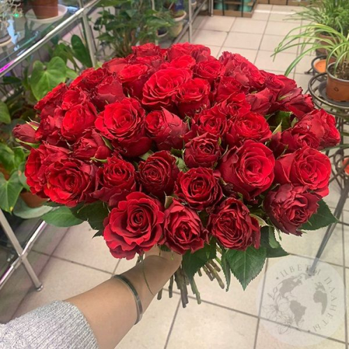 Букет красной розы 51 шт. 40 см. в магазине Цветы Планеты