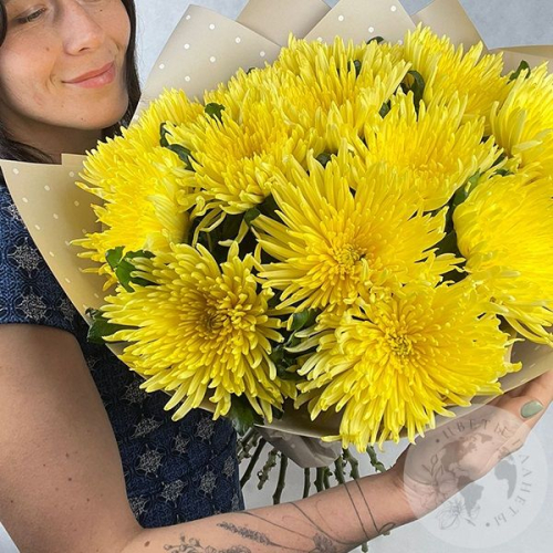 13 хризантем желтых