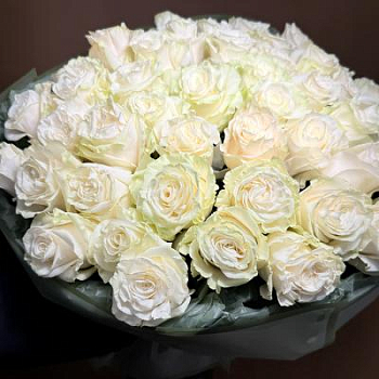 Букет из белых роз Эквадор 51 шт. 60 см.