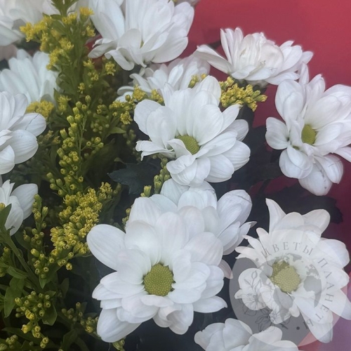 Букет из кустовых хризантем и солидаго в магазине Цветы Планеты