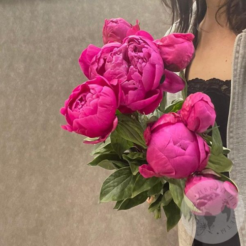 7 пионов розовых в магазине Цветы Планеты