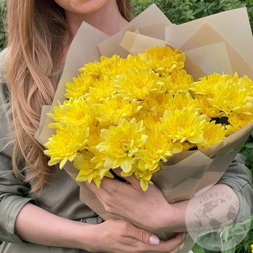 7 желтых кустовых хризантем