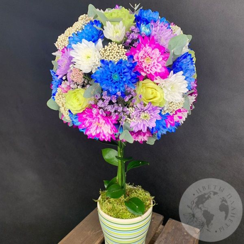 Букет из хризантем и роз в кашпо "Прекрасное дерево" в магазине Цветы Планеты