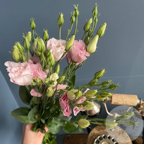 Эустома розовая 3 шт.