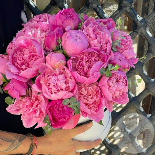 25 розовых пионов в шляпной коробке в магазине Цветы Планеты