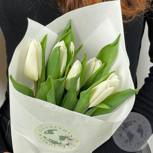5 тюльпанов белых в магазине Цветы Планеты