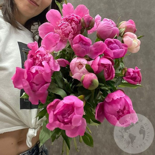 15 пионов розовых российских в магазине Цветы Планеты