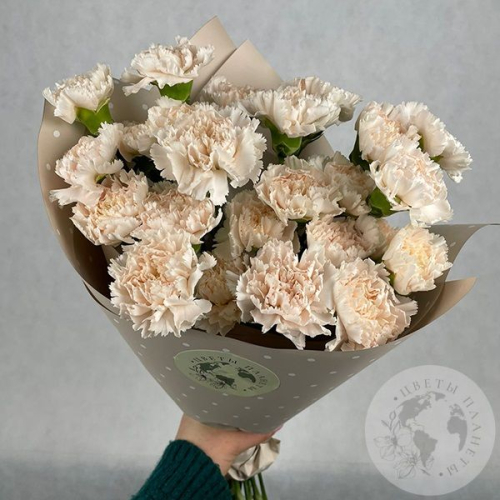 17 гвоздик персиковых