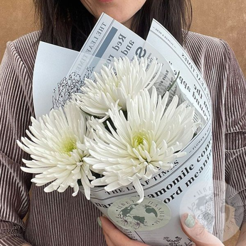 3 хризантемы белых