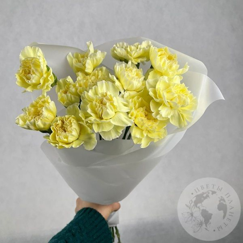 13 гвоздик желтых