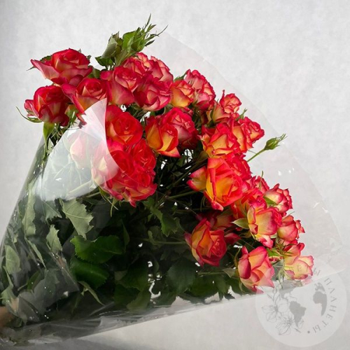 11 кустовых роз красных 60 см в магазине Цветы Планеты