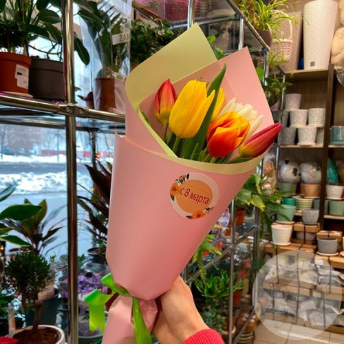 Букет из 7 тюльпанов микс