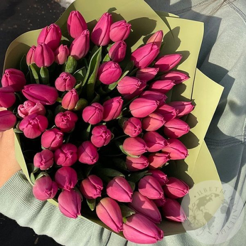 51 тюльпан малиновый в магазине Цветы Планеты