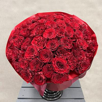 Букет красных роз Эквадор 25 шт. 50 см.