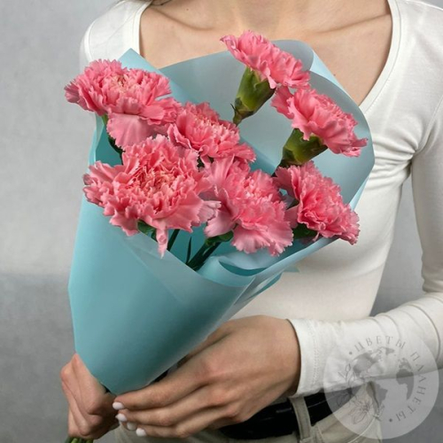 7 гвоздик розовых в магазине Цветы Планеты