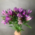 9 Альстромерий фиолетовых