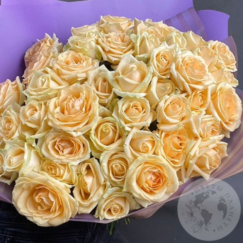 51 роза кремовая 60 см. в магазине Цветы Планеты