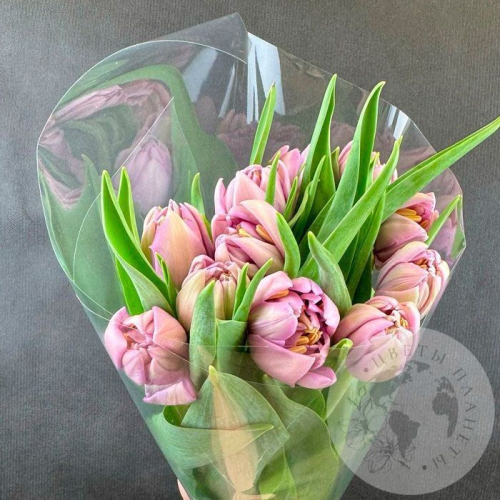 11 розовых пионовидных тюльпанов в магазине Цветы Планеты