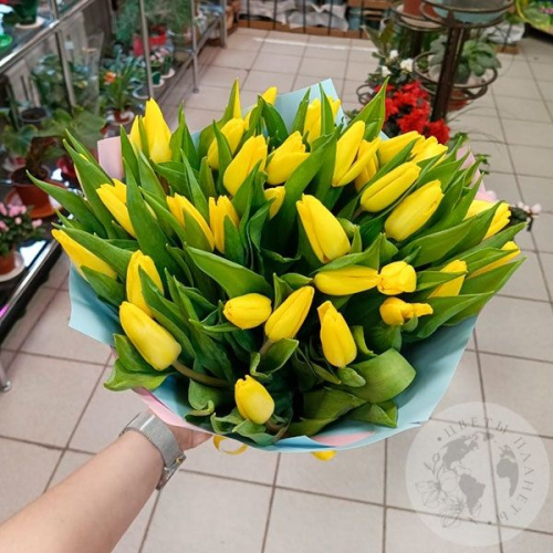 Букет из 35 желтых тюльпанов в магазине Цветы Планеты