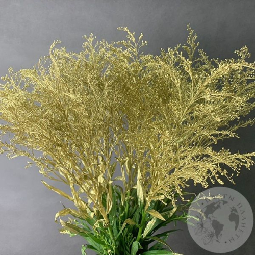 Солидаго Золото 9 шт. в магазине Цветы Планеты