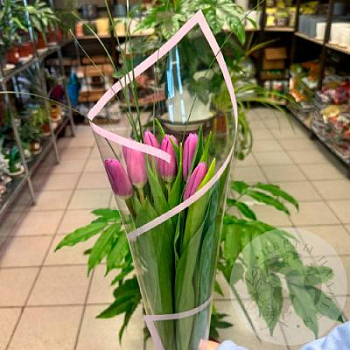 Букет из 7 тюльпанов фиолетовых